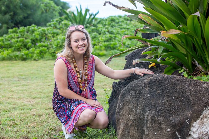 Semi Private Honolulu Historical Tour - King Kamehameha, the Supreme Court, and public memory