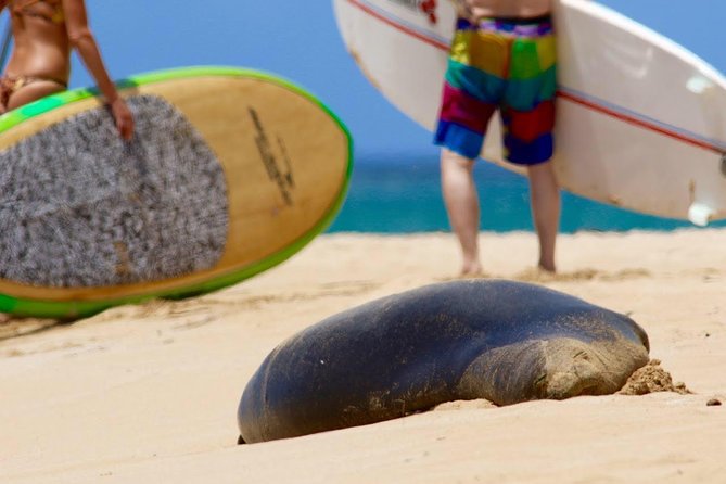 Semi-Private Surf Lesson - How the Instructors Shape the Experience