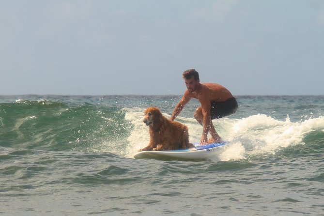 Semi-Private Surf Lesson - Practical Planning for the Hauula Meeting Point