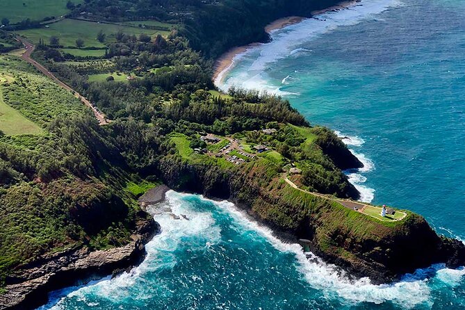 Shared Round-Trip Transfer: Honolulu Airport to Hotel or Cruise Terminal - The ride to Waikiki, Kahala, Turtle Bay, or Ko Olina