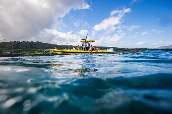 Shark-Dive Tour on Oahu's North Shore - Weather, cancellations, and changing departure times