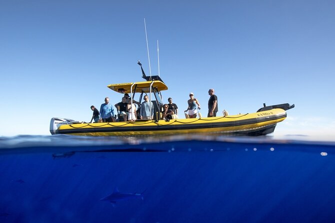 Shark-Dive Tour on Oahu's North Shore - Who will enjoy this shark encounter most?