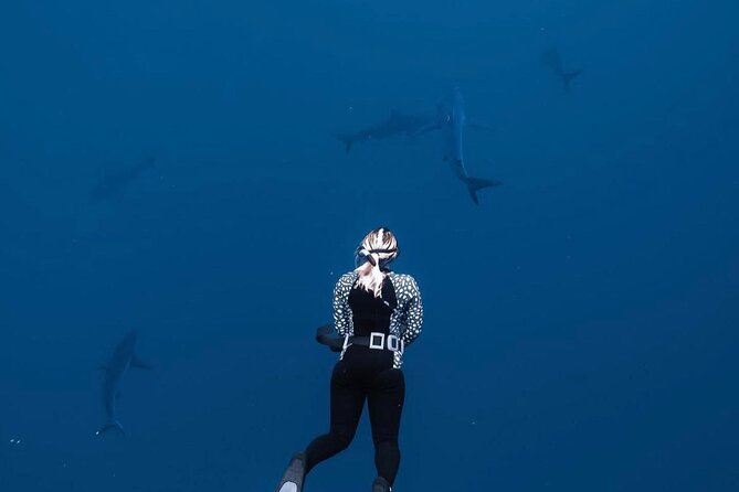 Shark Diving and Snorkeling in Oahu Hawaii - From Haleiwa to the North Shore Water