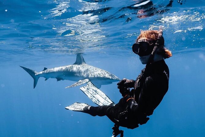 Shark Diving and Snorkeling in Oahu Hawaii - A Safety Briefing That Sets the Tone