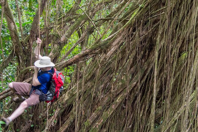 Skip the Crowds: Secret Oahu Half Circle Tour with a Local - Downtown Honolulu turns scenery into a story