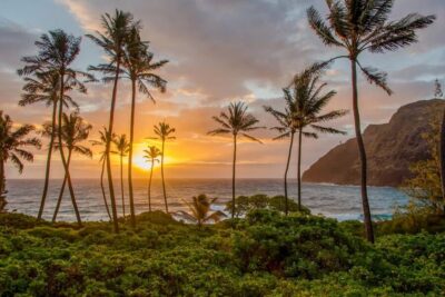 Small Group 3 Hour Honolulu Sunrise Tour with Malasadas