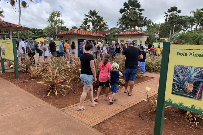 Small Group-Oahu Tour, Dole Plantation, Northshore, Sunset Beach - Punchbowl and the National Memorial Cemetery