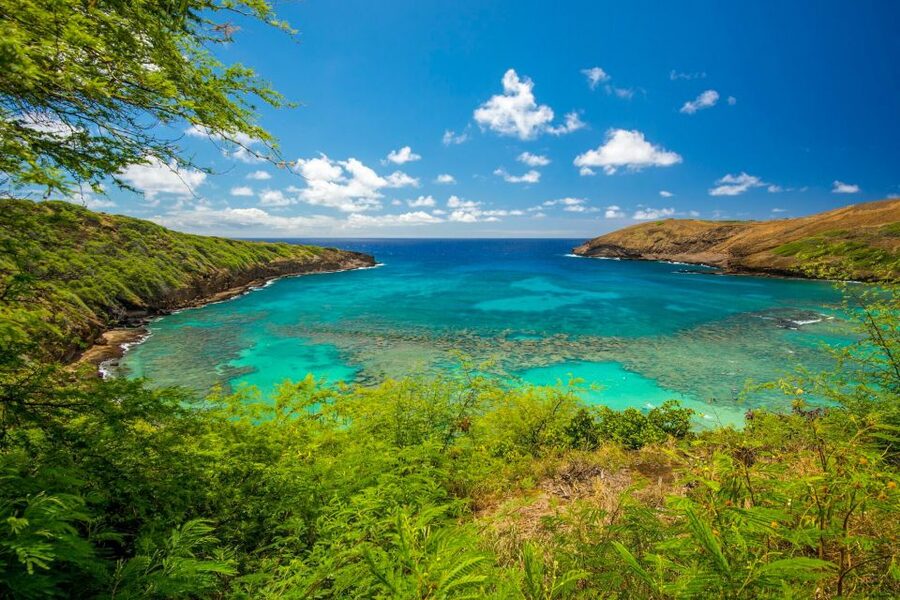 Small Group Tour of Honolulu Scenic Vistas with Sunset - Ocean spray at Halona Blowhole
