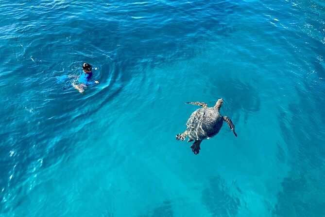 Small Group Turtle Canyon Snorkel in Waikiki (Boat Tour) - A quieter start can improve the experience
