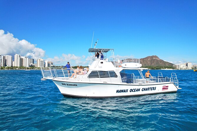 Small group Turtle Snorkel (16 people max): Sightings Guaranteed - Key points to know before you book