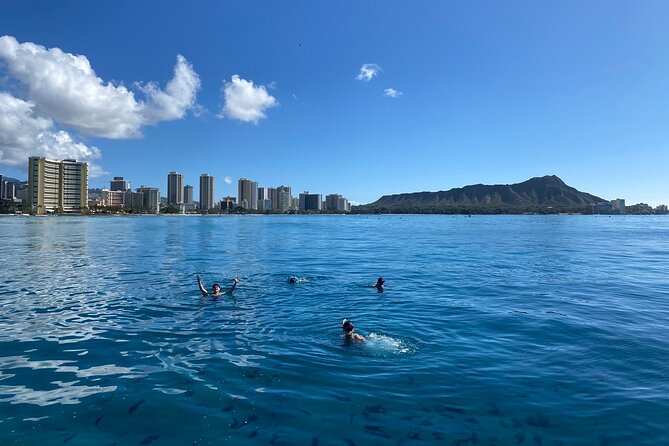 Small group Turtle Snorkel (16 people max): Sightings Guaranteed - Is $85 a fair price?