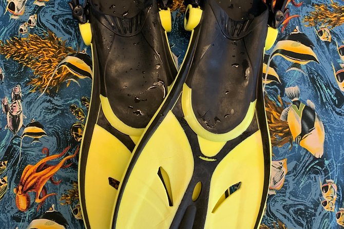 Snorkel Gears near Hanauma Bay - Hanauma Bay admission requires its own plan