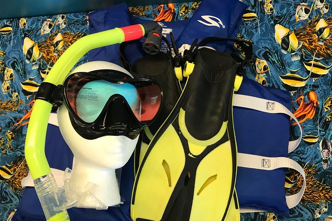 Snorkel Gears near Hanauma Bay - Timing, transport, and group size