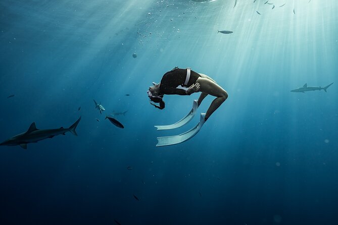 Snorkel with sharks on the North Shore of Oahu - Is $193 a Fair Price?
