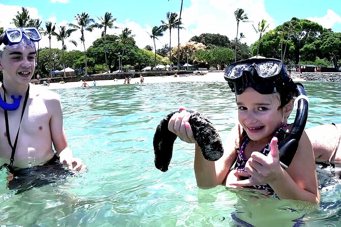 Snorkeling in Waikiki Many Fish All Levels Free Video & Pics! - Key details before you book