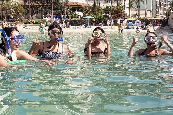 Snorkeling in Waikiki Many Fish All Levels Free Video & Pics! - What you see in the Marine Conservation Area