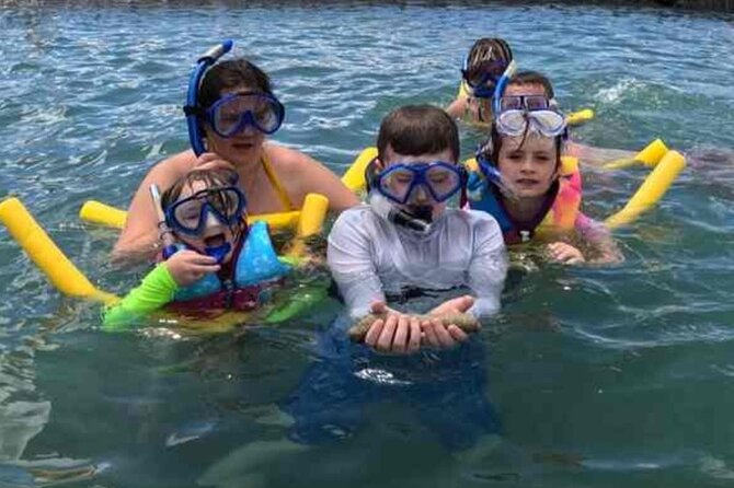 Snorkeling in Waikiki Many Fish All Levels Free Video & Pics! - Weather, cancellations, and practical planning