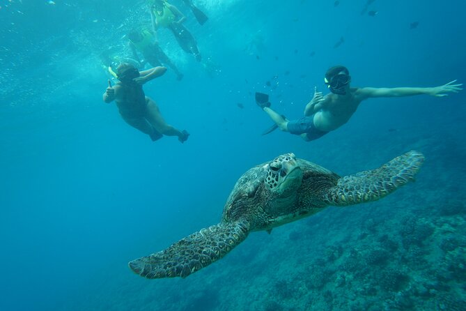 Snorkeling with Sea Turtles in Waikiki Hawaii Boat Tour - Safety, supervision, and the right comfort level
