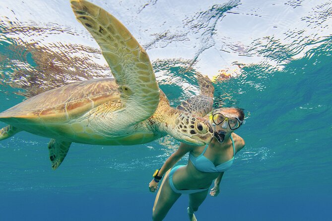 Snorkeling with Turtle/Water Scooter/Paddleboard Adventures Oahu - Snacks, photos, and the real value of $129