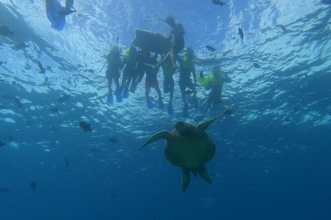 Snorkeling with Turtle/Water Scooter/Paddleboard Adventures Oahu - Three ways to enjoy the water