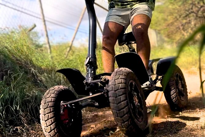 Stand Up ATV/Quad Jungle Trail Adventure - Is $164.96 a fair price?