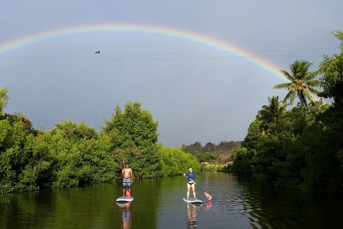 Stand Up Paddle Nature and Turtle tour-Guaranteed to see turtles - Key Points to Know Before You Book