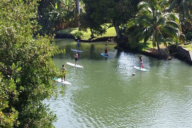 Stand Up Paddle Nature and Turtle tour-Guaranteed to see turtles - What the 90 Minutes Feel Like