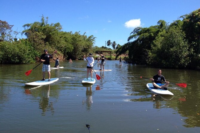 Stand Up Paddle Nature and Turtle tour-Guaranteed to see turtles - Finding Sea and Board Sports Hawaii