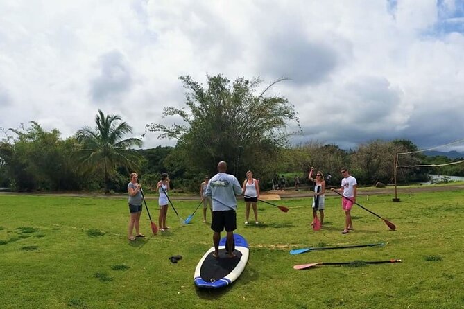 Stand Up Paddle Nature and Turtle tour-Guaranteed to see turtles - Who Will Enjoy This Paddleboard Tour
