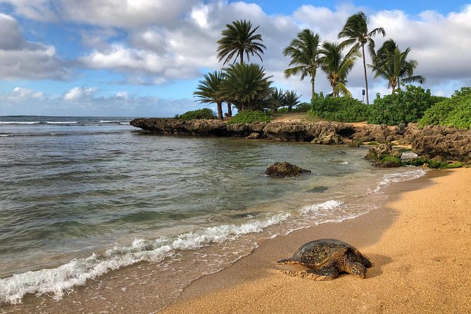 Sunrise Plus Island Tour - Weather, comfort, and the early-hour tradeoff