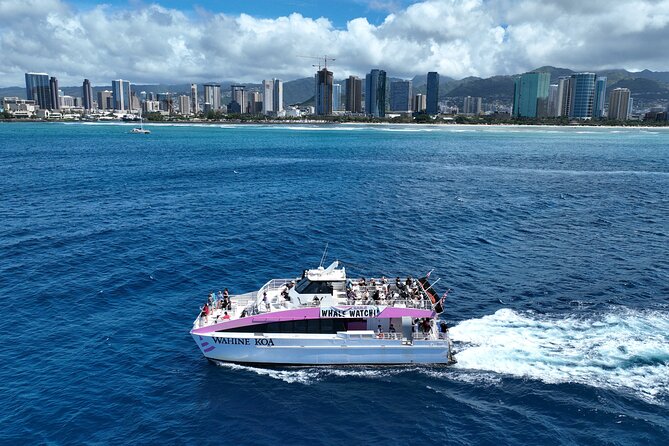 Sunset Cruise & Whale Watching from Oahu - Crew members make the difference