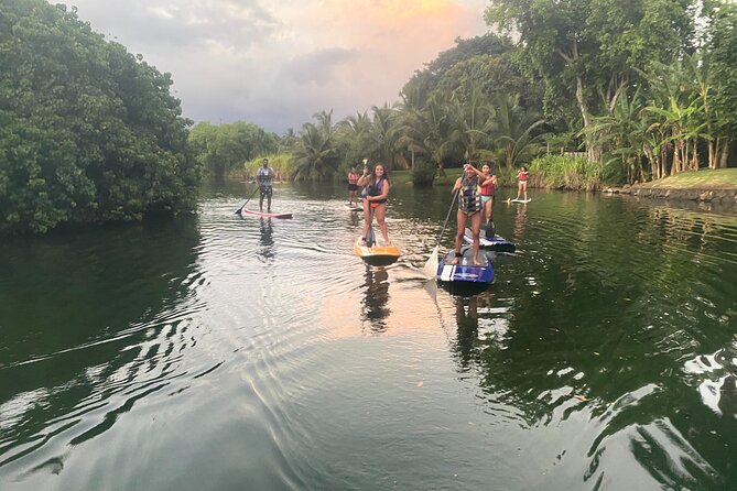 Sunset Stand Up Paddle with Photos and Turtles - Sunset colors and the return paddle