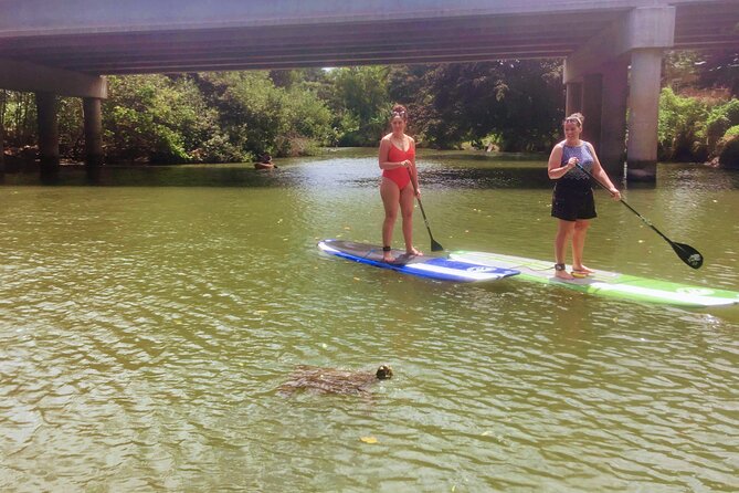 Sunset Stand Up Paddle with Photos and Turtles - Photos from your guide, not just your own phone