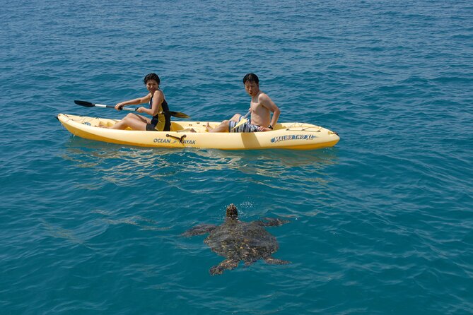Swim with Dolphins Catamaran with Waterslide & Lunch on Oahu - Lunch, drinks, and what is actually included