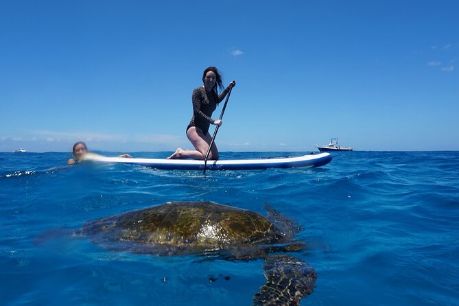 Swim with Dolphins Catamaran with Waterslide & Lunch on Oahu - Crew, safety, and the pace onboard