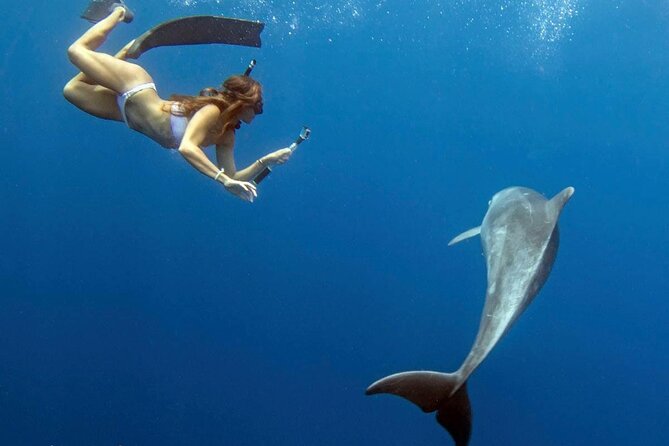 Swim with Dolphins Catamaran with Waterslide & Lunch on Oahu - Seasickness and weather concerns