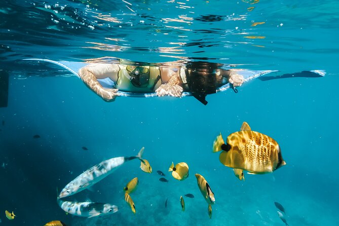 Swim with Dolphins Catamaran with Waterslide & Lunch on Oahu - What happens at Makaha