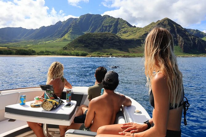Swim With Dolphins & Turtles in West Oahu (Semi-Private Tours) - Is $200 a fair price?