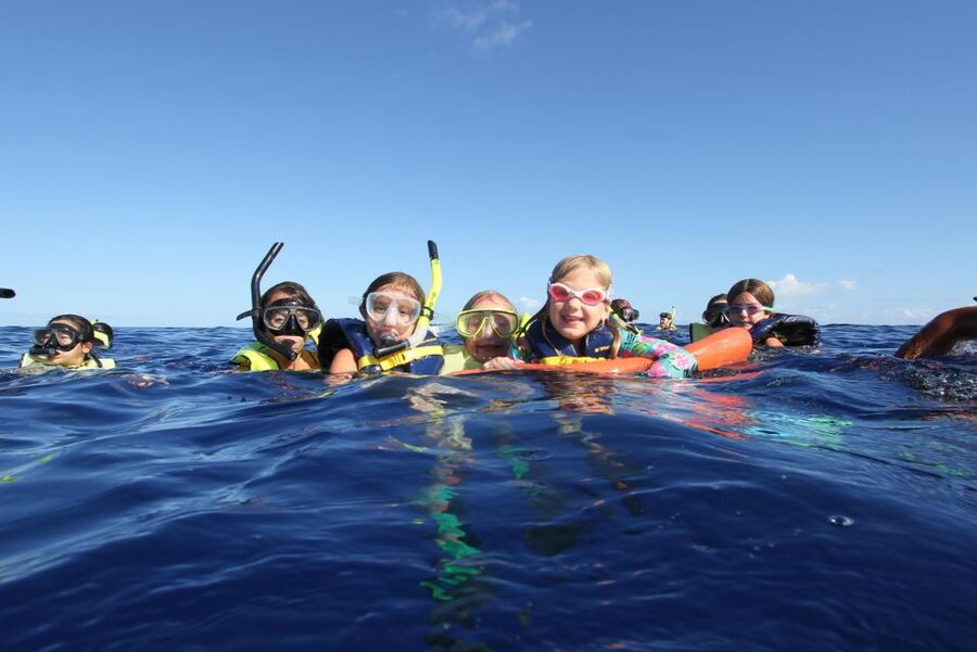Swim with Wild Dolphins Oahu Speedboat Snorkeling Adventure! - The real appeal: wild dolphins off Waianae