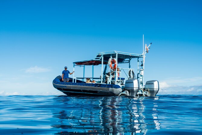 Swimming with Wild Dolphins Speedboat Adventure on Oahu - Meeting the Dolphin Warrior in Waiʻanae