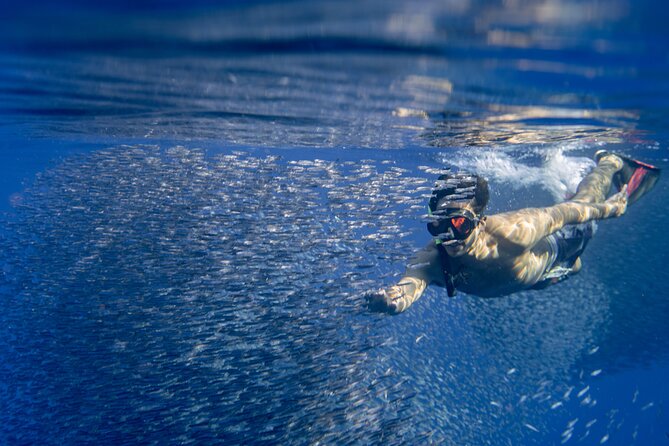 Swimming with Wild Dolphins Speedboat Adventure on Oahu - Price, timing, and overall value