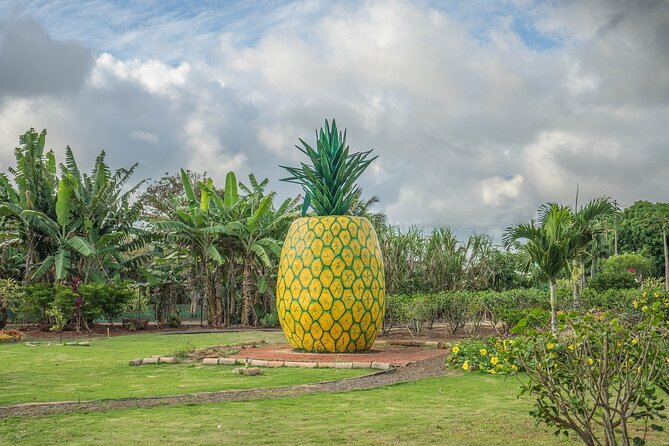 "The Dole Plantation" & "North Shore" Private Limousine VIP Tour! - Haleiwa, shrimp trucks, and a one-hour lunch stop