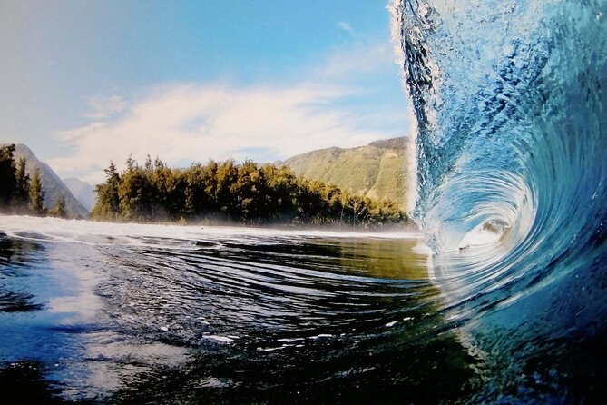 "The Dole Plantation" & "North Shore" Private Limousine VIP Tour! - Who should book this Oahu North Shore tour