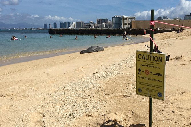 The East Waikiki Walking Tour - Sustainability is part of the explanation