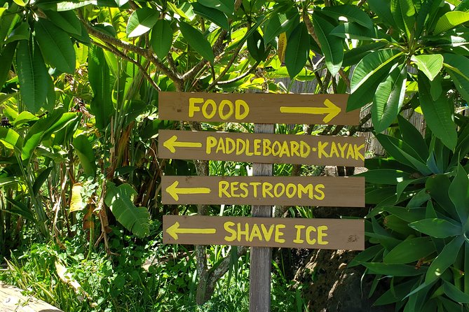 Tour of North Shore & Waimea Waterfall - Dole Plantation and the return over Nu’uanu Pali