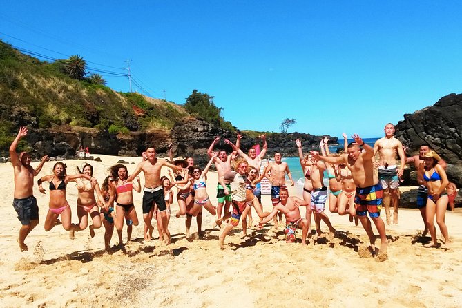 Tour of North Shore & Waimea Waterfall - Who should book this North Shore day trip?