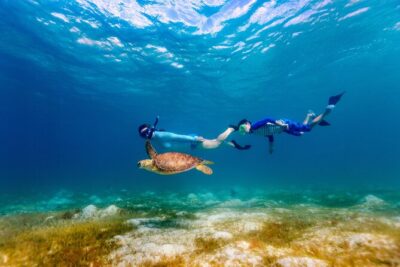 Turtle Canyon Snorkel Adventure – Small Group 6 Passengers