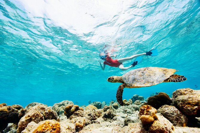 Turtle Canyon Snorkel Adventure - Small Group 6 Passengers - Who Will Enjoy This Most