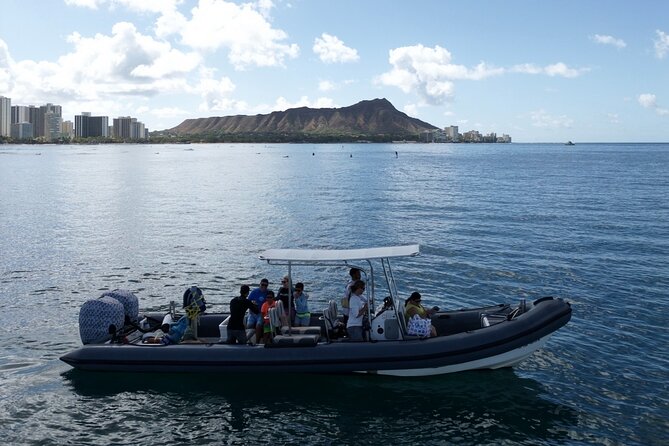 Turtle Canyon Snorkel: Semi Private Boat Tour - Water clarity, wildlife etiquette, and crowd levels