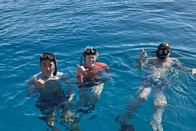 Turtle Canyon Snorkel Tour - Semi-private: 6 passenger max - Key points at a glance